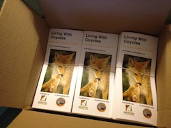 coyote brochures