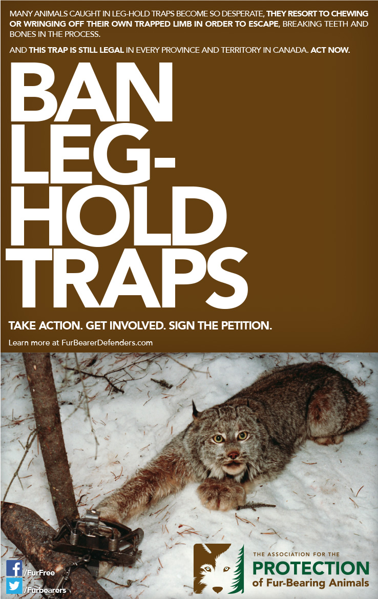 leg hold trap poster