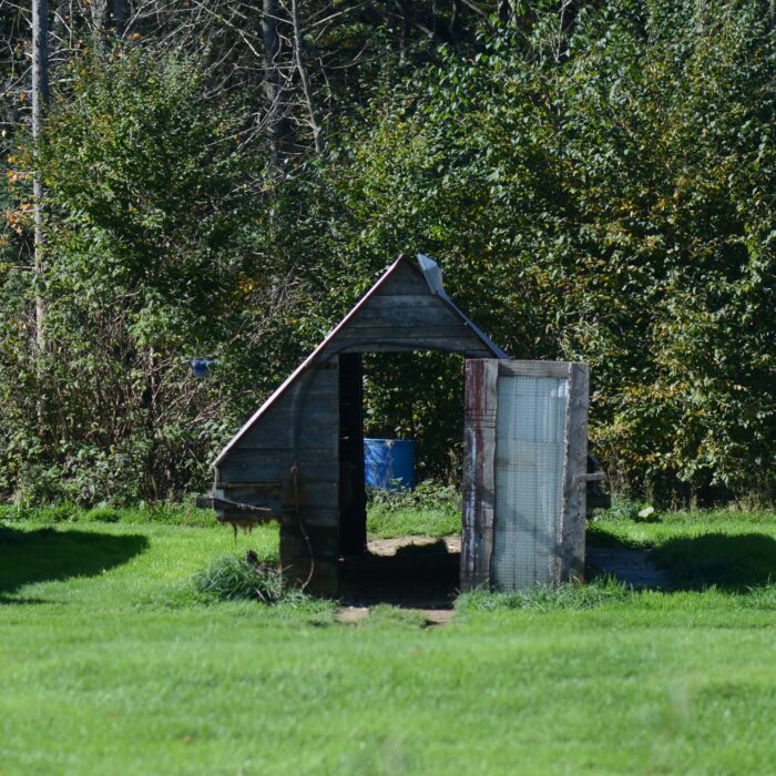 A photo showing a shed in which mink are kept on a Nova Scotia fur farm.