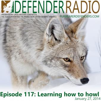 Defender Radio Episode 117