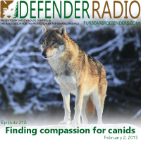 Defender Radio podcast wolves coyotes BC Ontario