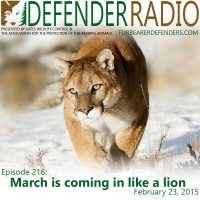 Defender Radio