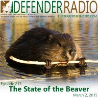 Defender Radio, beaver