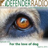 Defender Radio podcast Jean Donaldson