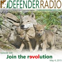 Defender Radio podcast Deb Ozarko activism