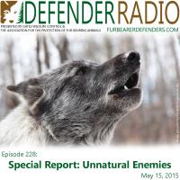 Defender Radio photo courtesy Pyramid Productions