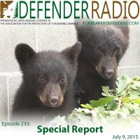 Defender Radio BC bear cubs