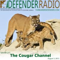 Defender Radio cougar Panthera