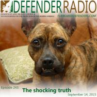 Defender Radio Episode 243 The Shocking Truth