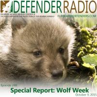 Defender Radio podcast Wolf Week