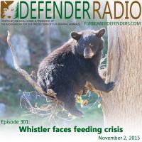Defender Radio Whistler bear feeding podcast