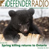 Defender Radio podcast spring bear hunt