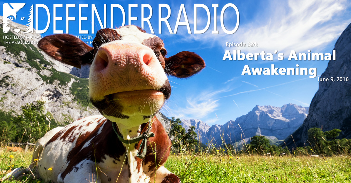Defender Radio podcast