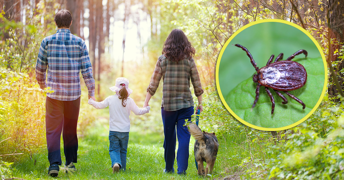 Five tips to protect your family and your pets from ticks