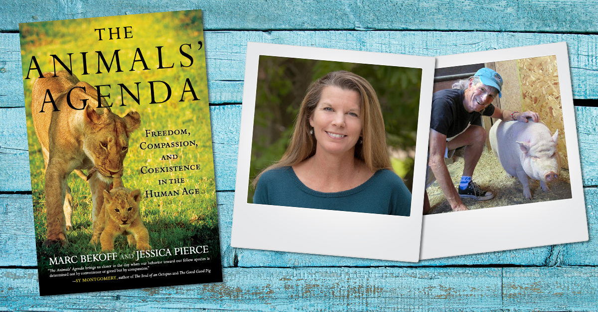 Review: The Animals’ Agenda, a new book by Drs. Marc Bekoff and Jessica Pierce