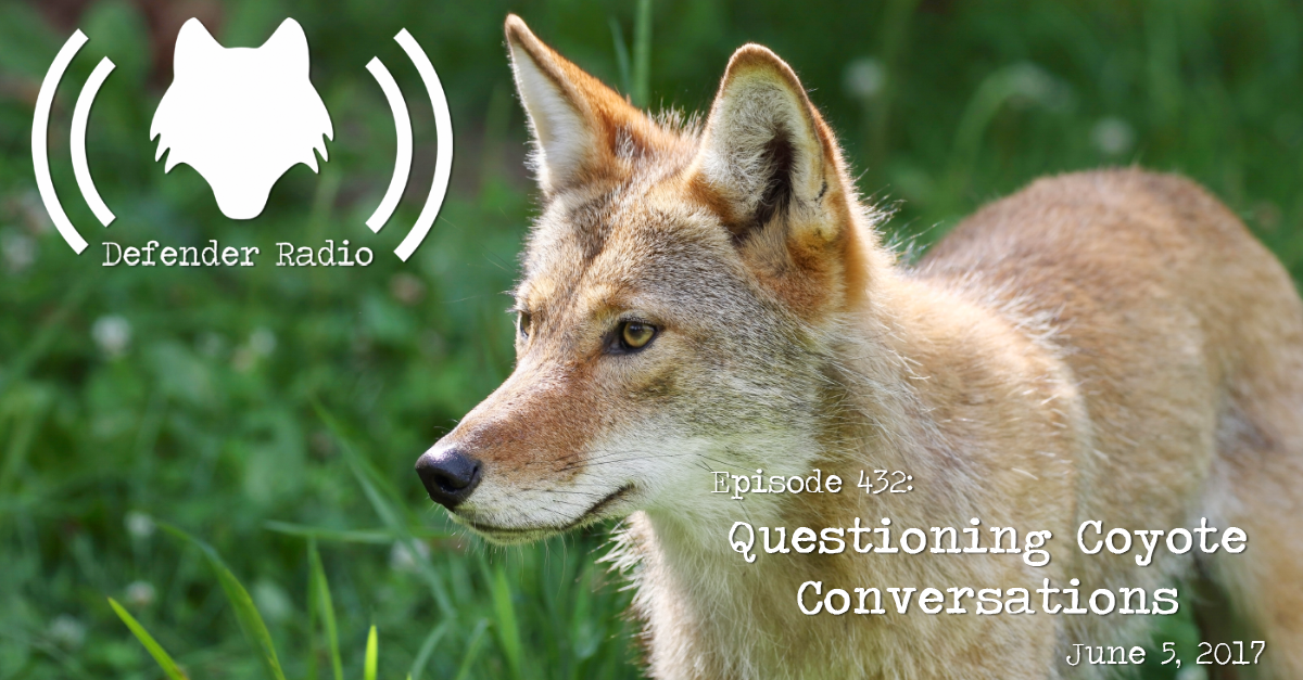 Defender Radio Podcast Episode 432: Questioning Coyote Conversations