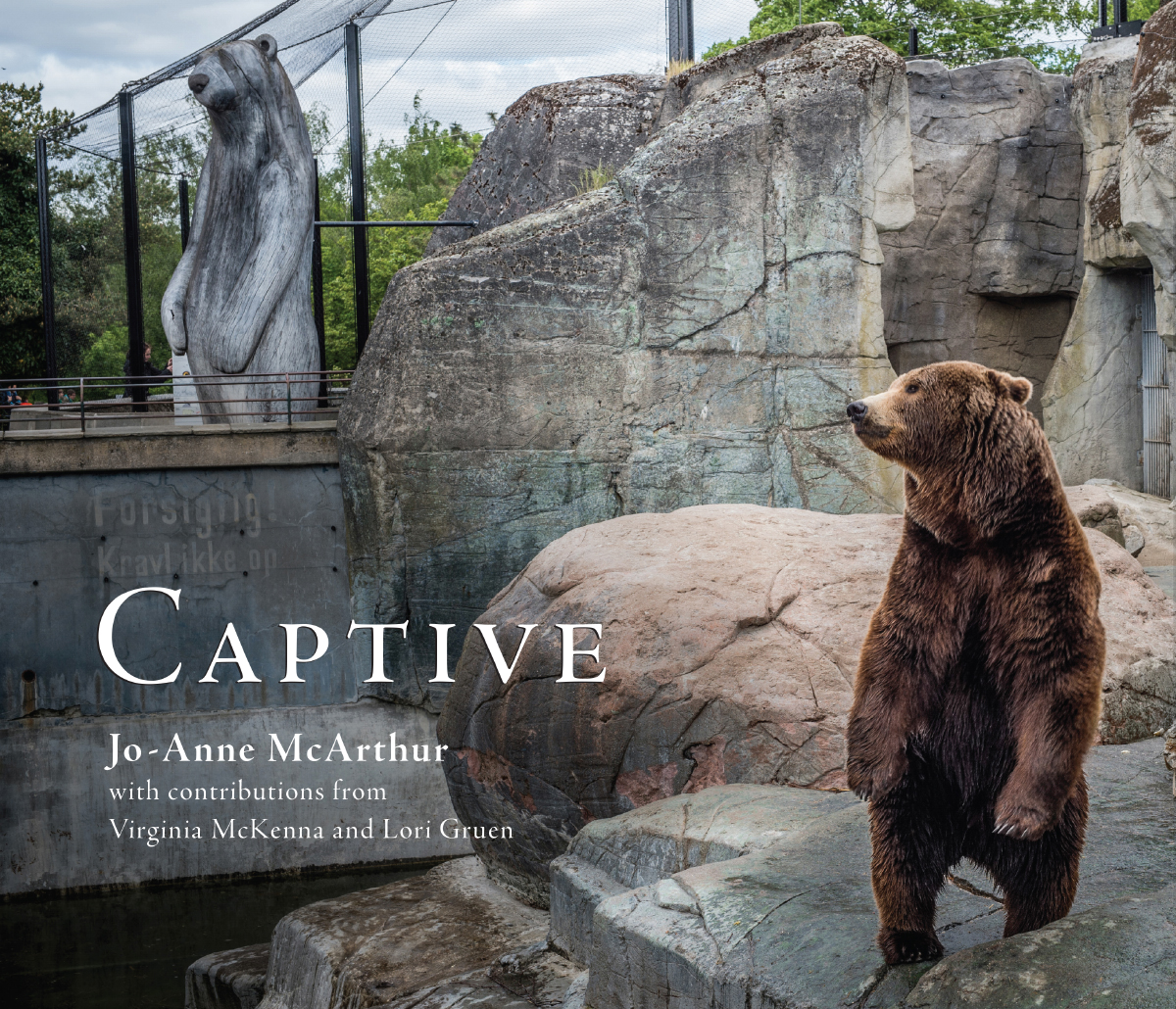 In Captive, Jo-Anne McArthur tells a story we choose not to see