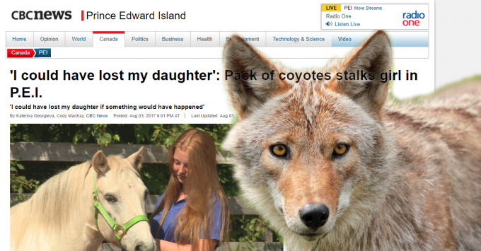 CBC responds to our complaint about coyote coverage in PEI