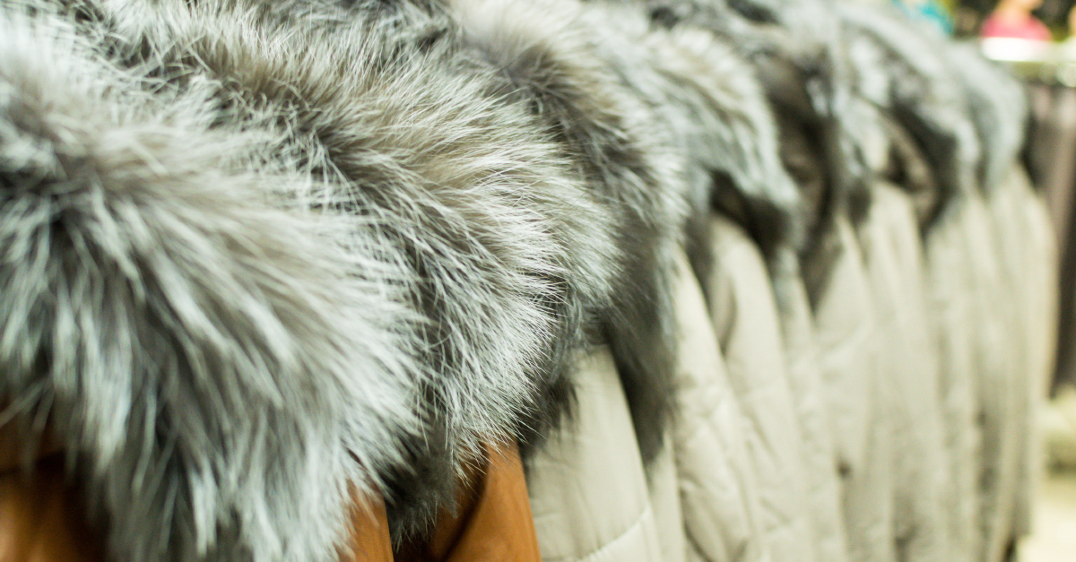 #MakeFurHistory: Five fast facts as winter fashion nears