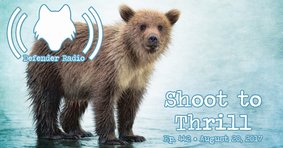 Defender Radio Podcast 442: Shoot to Thrill - There’s more than one way to shoot a grizzly – but only one can be our future.
