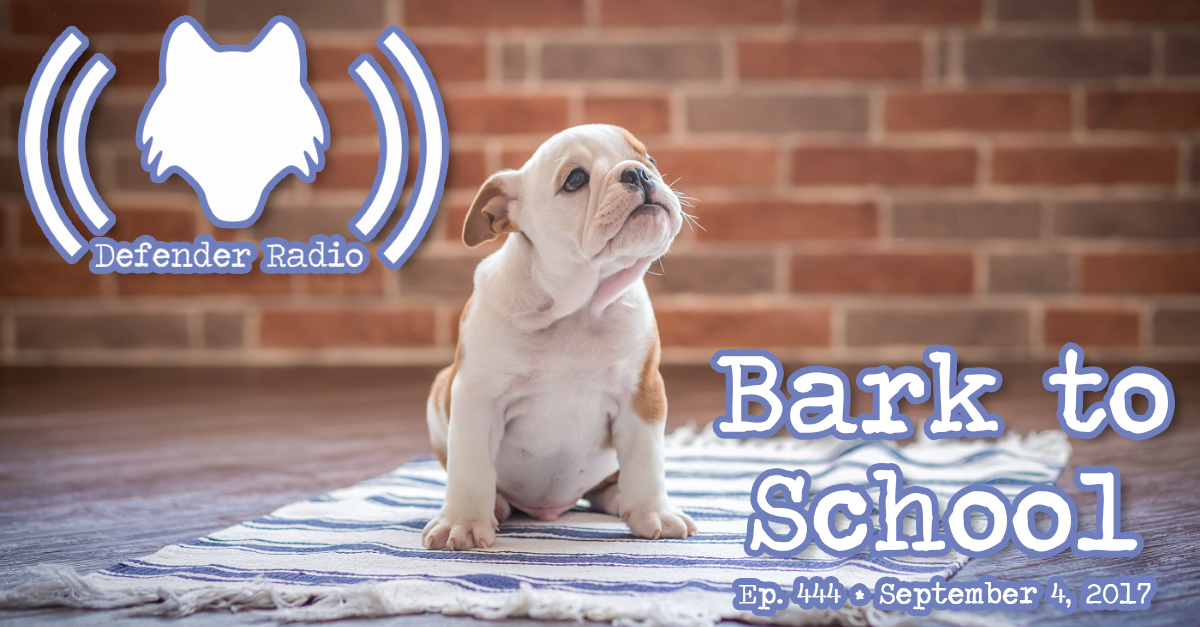 Defender Radio Podcast 444: Bark To School