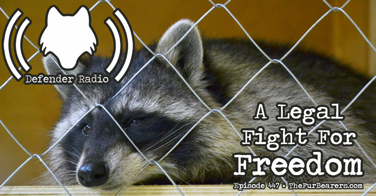 Defender Radio POdcast 446: A Legal Fight For Freedom
