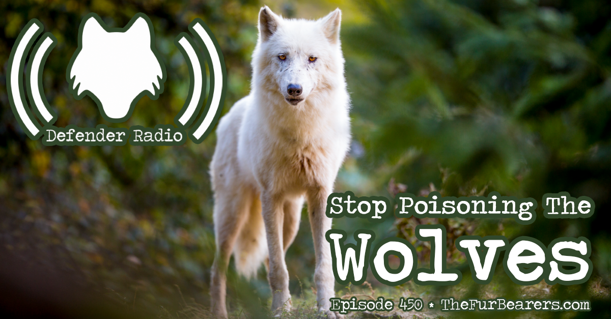Defender Radio Podcast 450: Stop Poisoning The Wolves