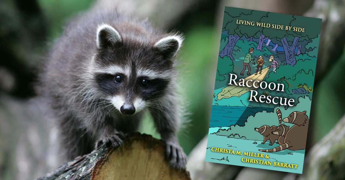 Can Raccoon Rescue kick start compassion?