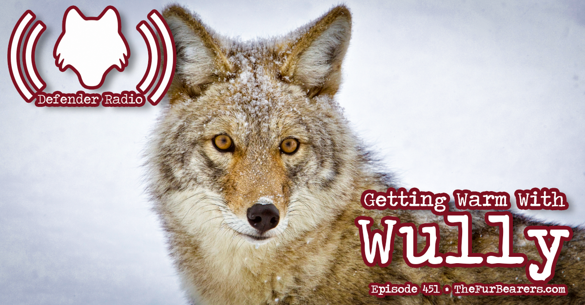 Defender Radio Podcast Episode 451: Getting Warm With Wully