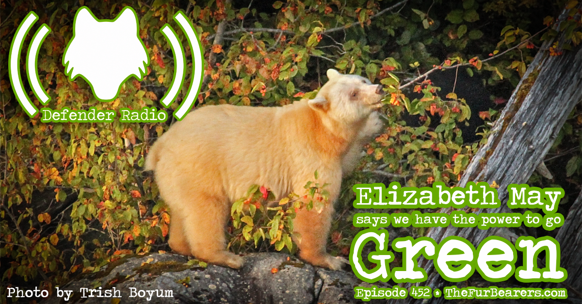 452: Elizabeth May Says We Have The Power To Go Green