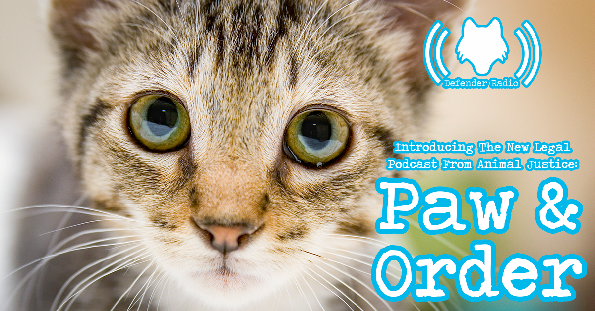 508: Introducing The New Legal Podcast From Animal Justice: Paw & Order