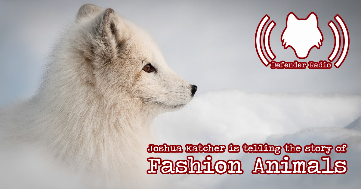 509: Joshua Katcher Is Telling The Story Of Fashion Animals Podcast 