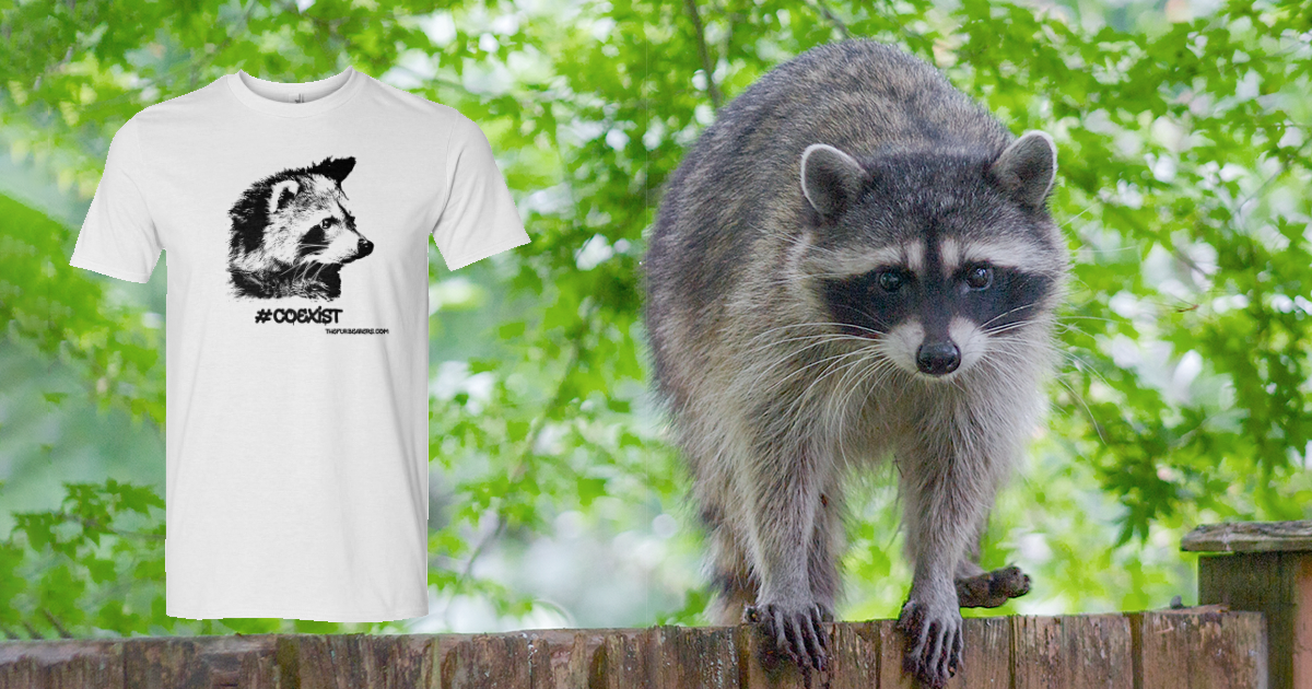 The unveiling of our new spring t-shirt design, submitted by a supporter! Order yours now and help communities co-exist with wildlife!