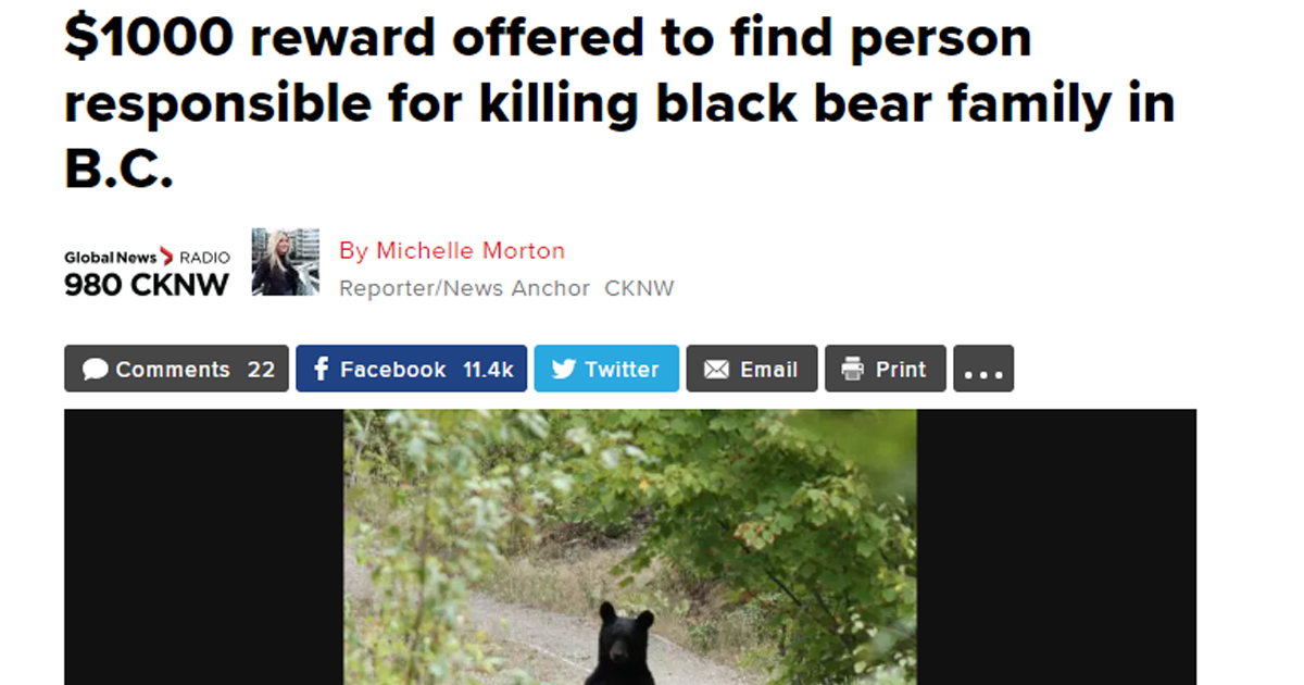 $2,600 reward for info leading to conviction in killing of bear family