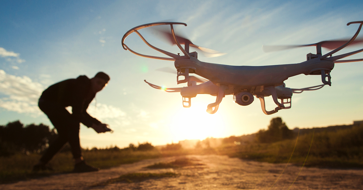 Buzz off: drones harass, change behaviour of animal