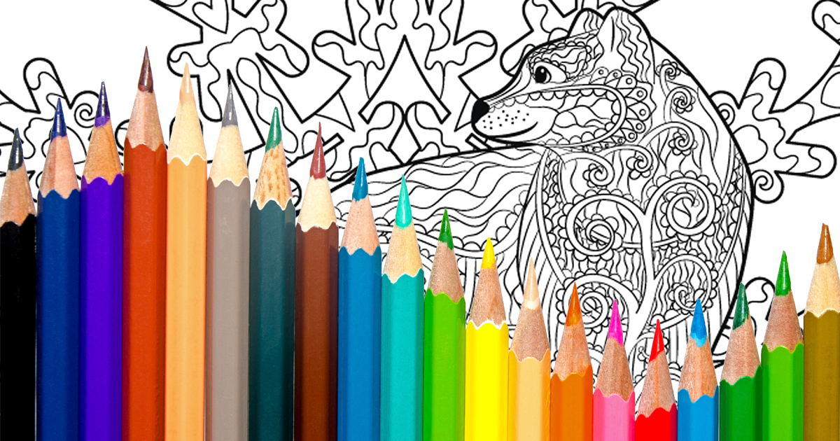 Holiday fun: FREE wildlife colouring pages and activities!