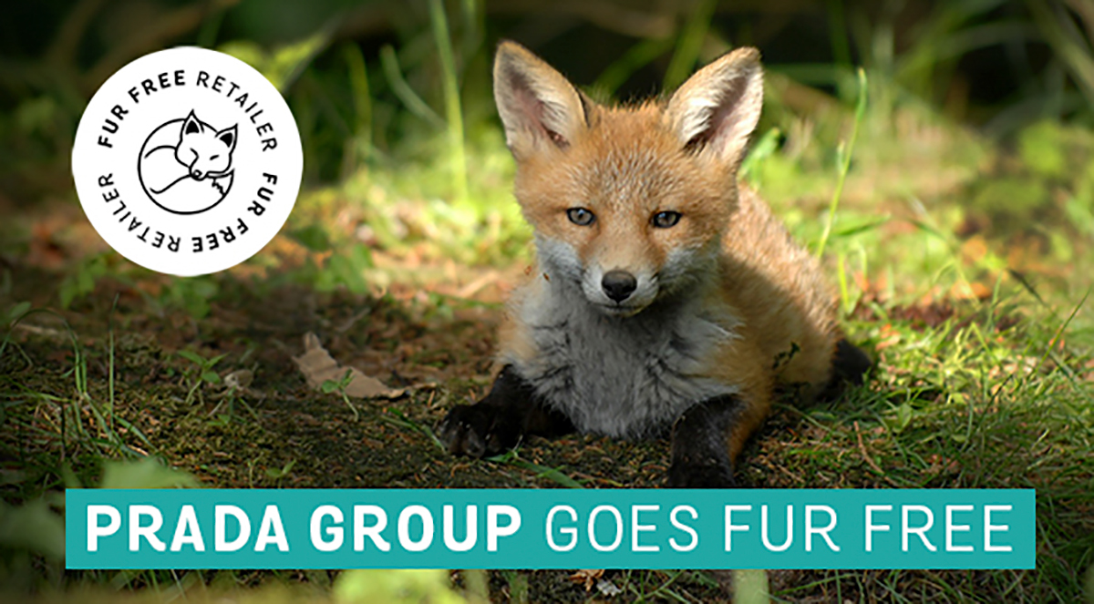 VICTORY: Prada Group Goes Fur Free!