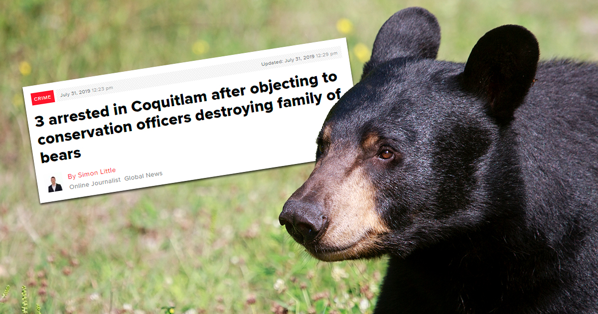 Statement On Coquitlam Bear Killings and Arrests