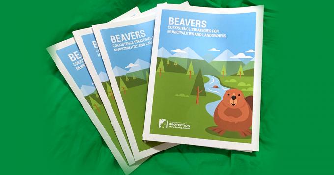 Booklet includes overview of beaver coexistence strategies and extensive references.