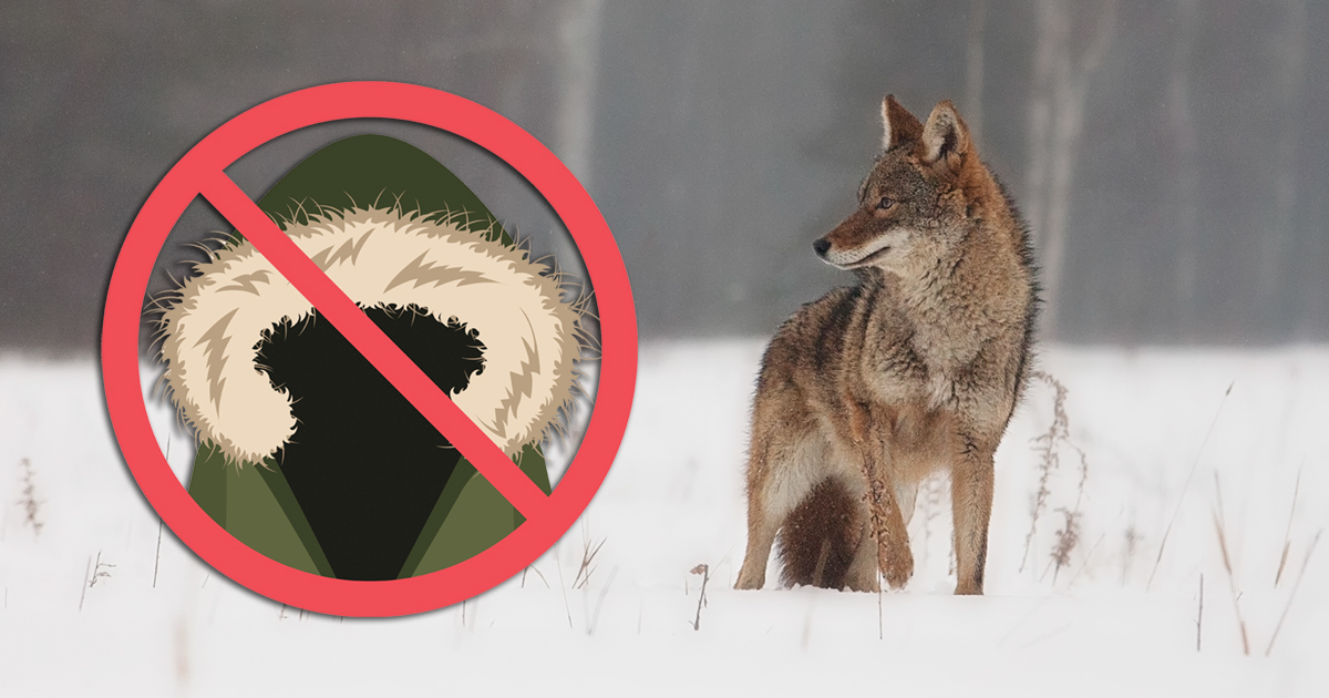 The Fur-Bearers and two American-based organizations target ‘humane fur’ claims in United States.