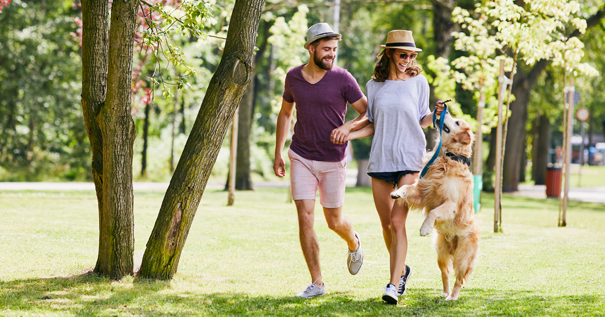 Dogs are feeling stressed, too, and walks can be a place of joy for you both.