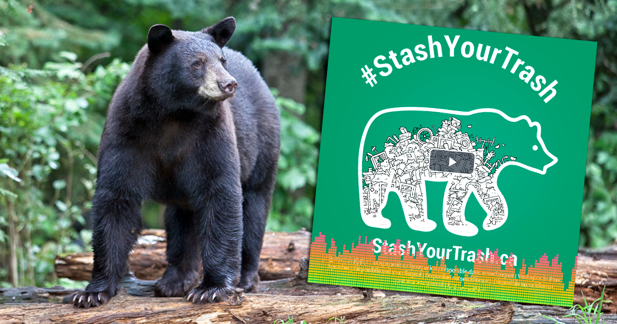 #StashYourTrash radio ads hit airwaves in BC
