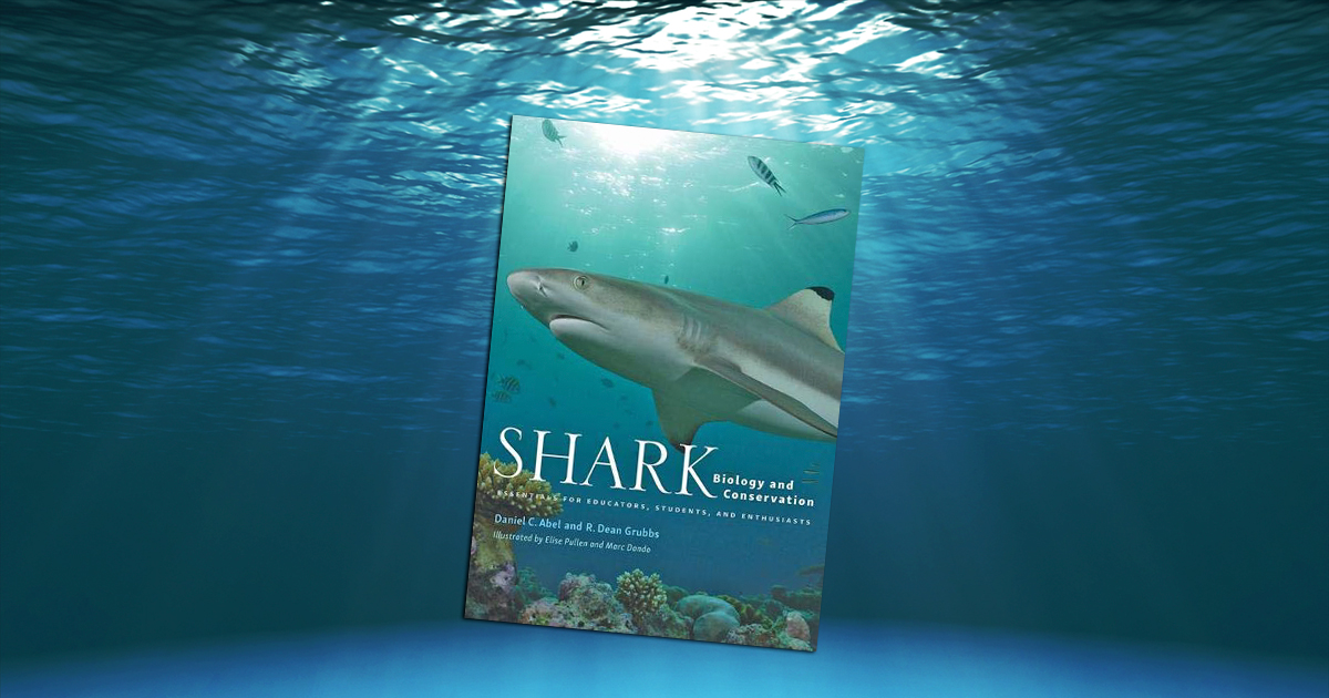 Shark Biology and Conservation a treat for shark lovers, writes Jason Motz for The Fur-Bearers.