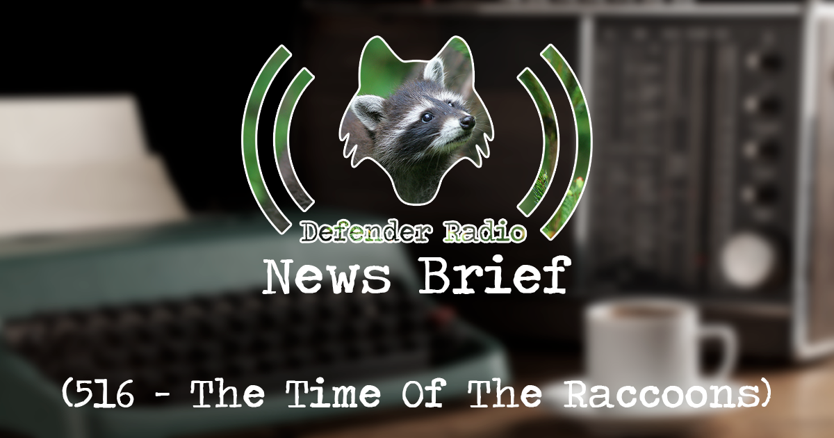 NEWS BRIEF: 516 - The Time Of The Raccoons, featuring Cara Contardi of Urban Wildlife Care
