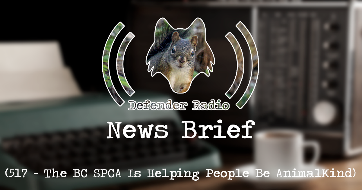 Defender Radio Podcast News Brief: 517 - The BC SPCA Is Helping People Be AnimalKind
