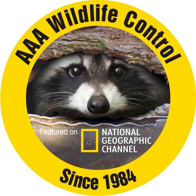 AAA Wildlife Logo