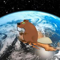 Earth Day Beaver Fur-Bearers
