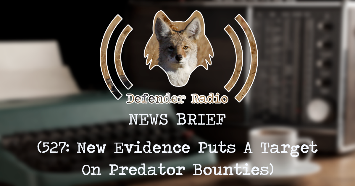 Defender Radio Podcast NEWS BRIEF: 527 - New Evidence Puts A Target On Predator Bounties