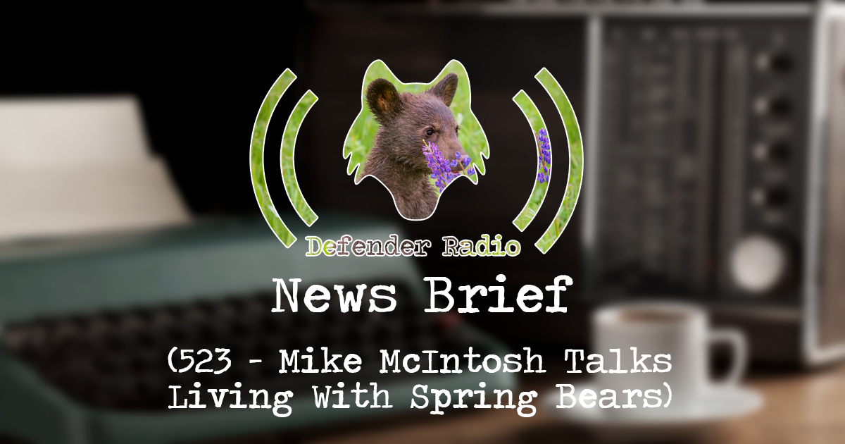 Defender Radio NEWS BRIEF: 523 - Mike McIntosh Talks Living With Spring Bears