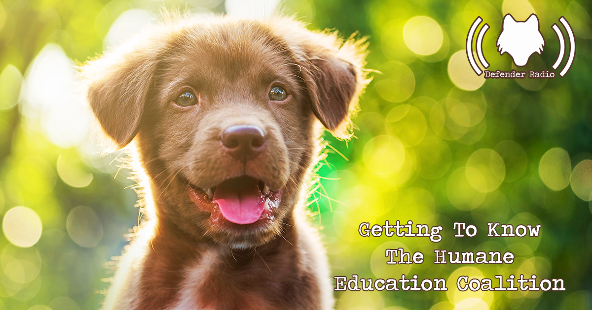 Defender Radio Podcast Getting To Know The Humane Education Coalition (531)